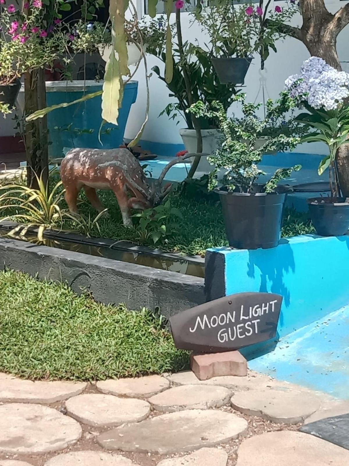 Moon Light Guest Bed & Breakfast Mirissa Luaran gambar
