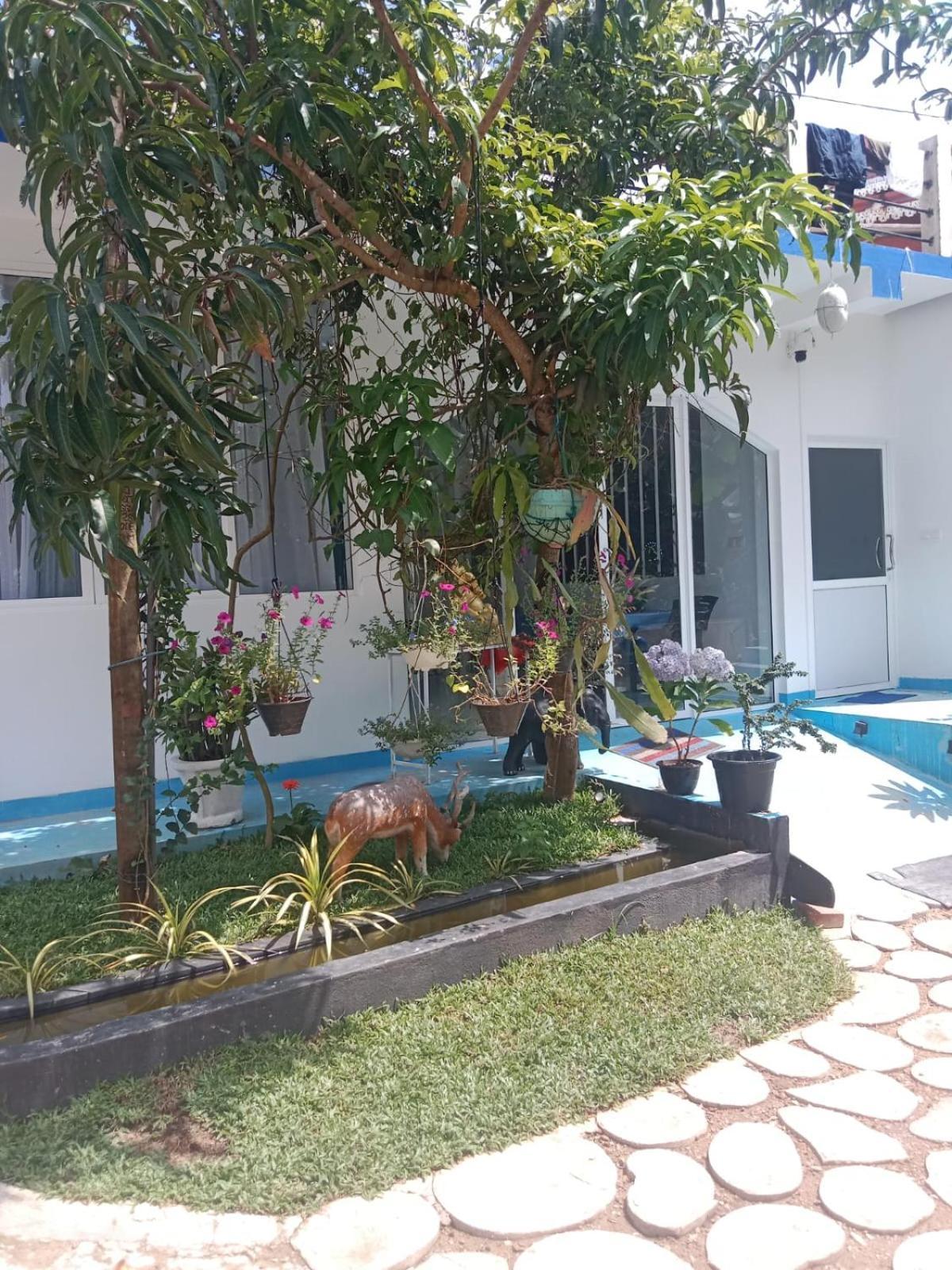 Moon Light Guest Bed & Breakfast Mirissa Luaran gambar